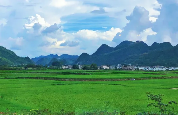 牧嵐咖啡館