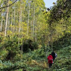 山涧别院 User Photo