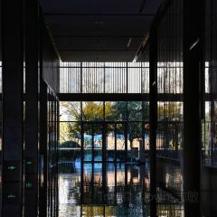 More by Sheraton User Photo
