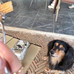 Elely Cafe’ แอลลี่ คาเฟ่張用戶圖片
