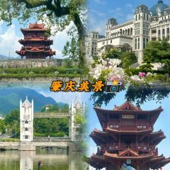 鼎湖山酒家 User Photo