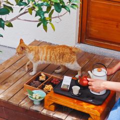 無聞璞舍 User Photo