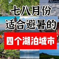 爺爺的土缽菜張用戶圖片