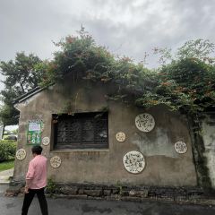 五芳齋(沈蕩店)張用戶圖片