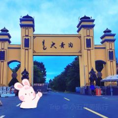 HA JIU HAI User Photo