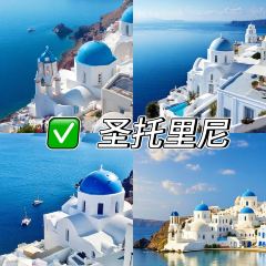 新大漠红柳烤肉餐厅 User Photo