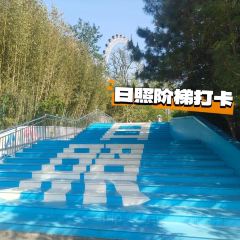 哎呀妈妈哟岚山豆腐木柴大锅鱼 User Photo