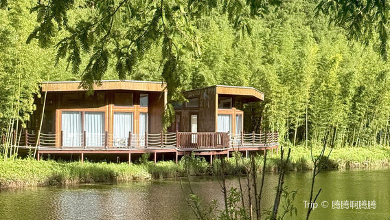 Huanghai National Forest Park - Wooden Cabin Cluster