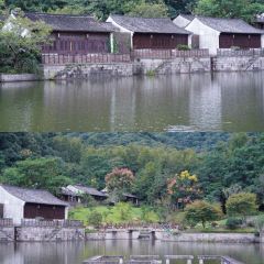 SEN Cuisine User Photo