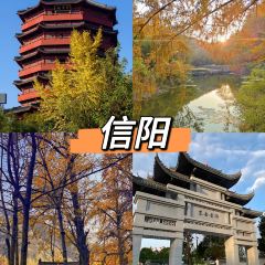 渔味堂南湾鱼三吃(湖东店) User Photo