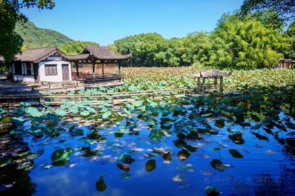 LANTINGJI·SHAOXINGCAI