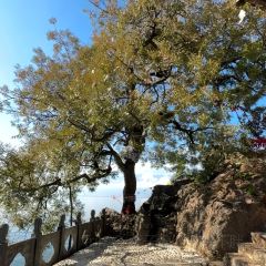 September DaLi User Photo