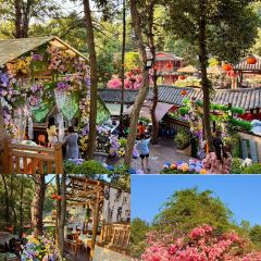 芙蓉裡•小漁村 （金星路店）張用戶圖片