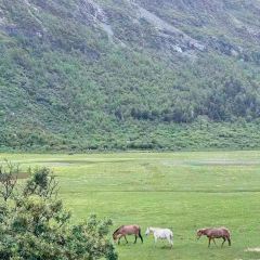 Hot pot of Tibetan User Photo