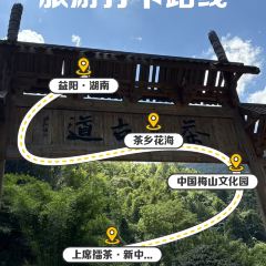 SHANGXILEICHA User Photo