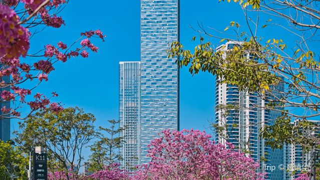 tai zi wan bin hai an xian gong yuan