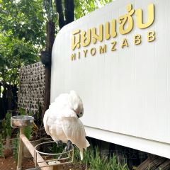 Ni Yom Zabb User Photo