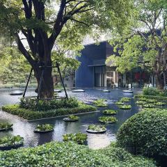 BKK Social Club User Photo