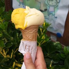 Gelateria Dondoli張用戶圖片