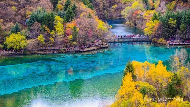 Jianyuan Virgin Forest