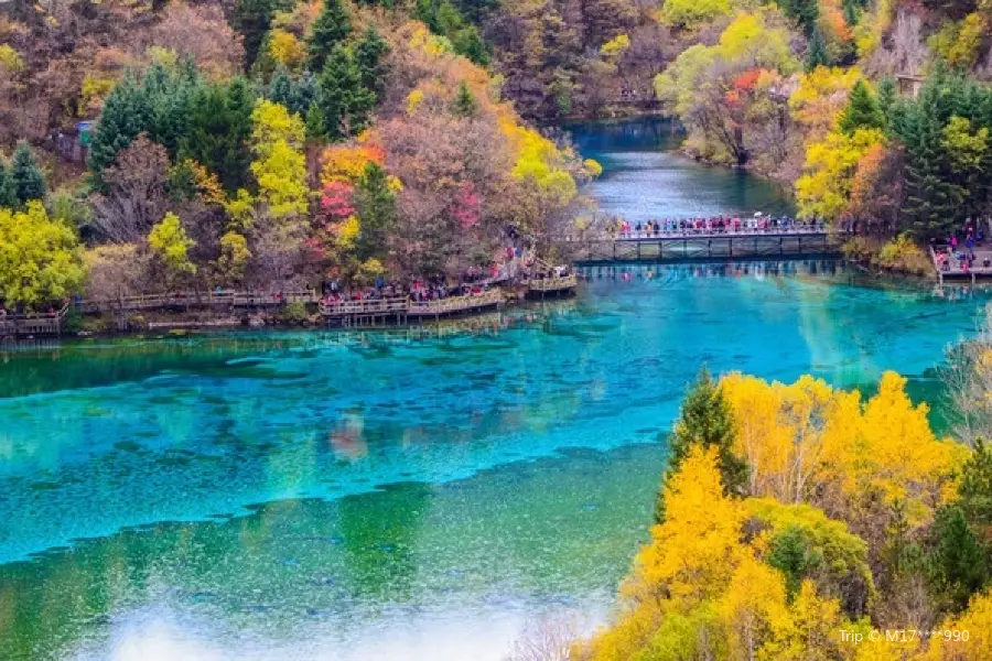 Jianyuan Virgin Forest