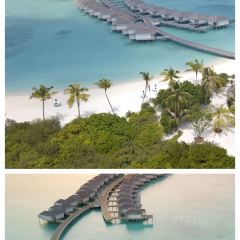 Breeze Pool Bar User Photo
