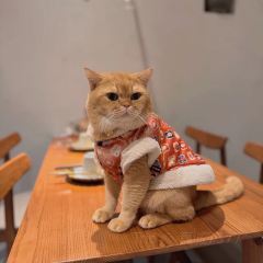 貓和魚創意廚房（元帥路店）張用戶圖片