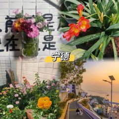 荣鼎煎包 User Photo