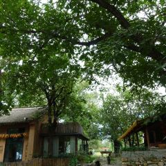 李家院子 User Photo