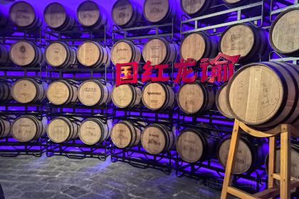 龙谕酒庄·餐饮部