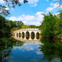 含晖面馆(虞景文华店) User Photo