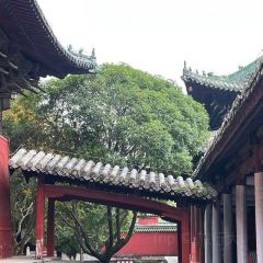 四川省平武报恩寺游客中心 User Photo