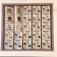 野云边纯素食自助 User Photo