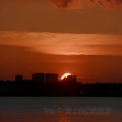 Marine Beach Bar User Photo