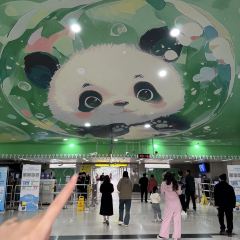 百万卤鹅重庆菜馆·家宴旗舰店(动物园店) User Photo