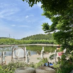 南泊湾红房子生态庄园(二环路店) User Photo
