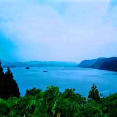 新月集星舟咖啡馆 User Photo