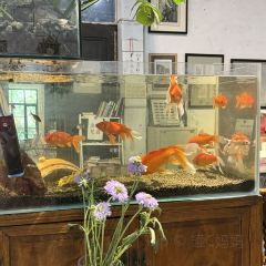 半两·咖啡书店·浮生是杯酒 여행 사진