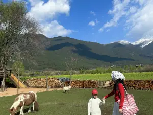 咸鱼咖啡馆