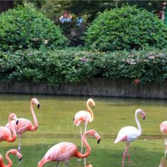 大學城夜市大排檔張用戶圖片