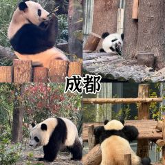 官塘荣兴陈记牛肉火锅 ảnh của người dùng