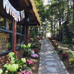 一山树屋咖啡营地 User Photo