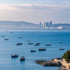 SunshineCafe User Photo