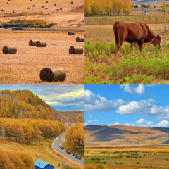 Manda Sheng Yuan Xiang chafing  dish User Photo