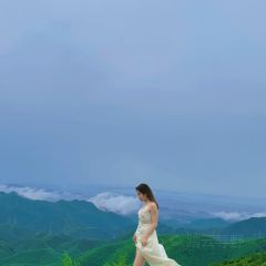 LOBSTER MONSTRE 여행 사진