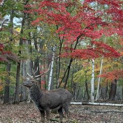 本达人海鲜烧烤(发展店) User Photo