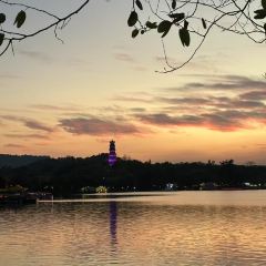 橫沥汤粉張用戶圖片