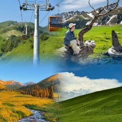 牧羊爷爷·新疆文化菜 User Photo