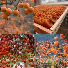 瑶乡饭店 User Photo