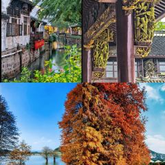 绍兴上虞万豪酒店·万豪中餐厅 User Photo